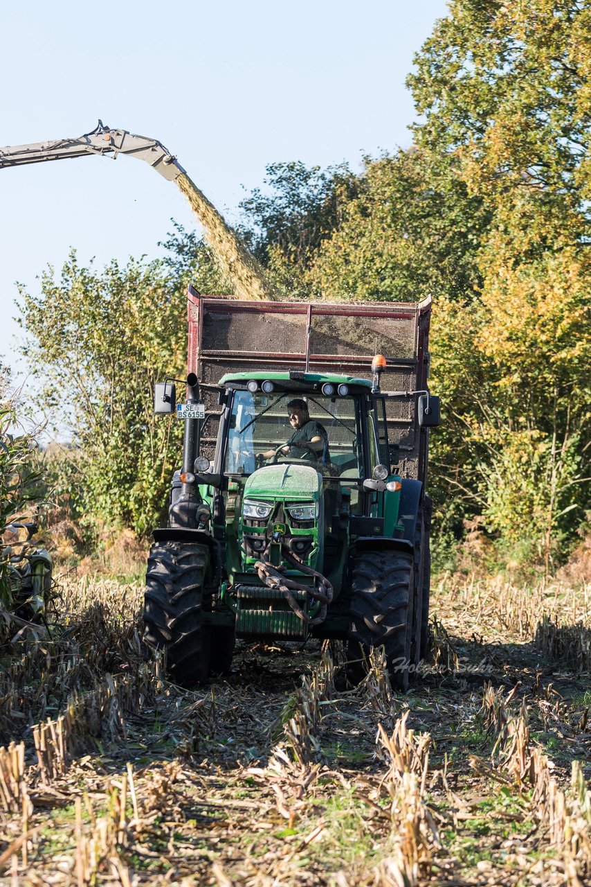 Bild 112 - Maisernte